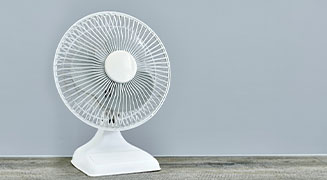 Fan